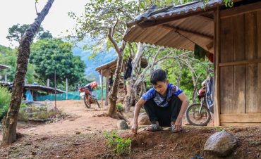 Tuổi thơ mất mát trong dòng chảy di cư