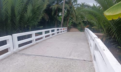 Xây mới 12 cầu Hy Vọng