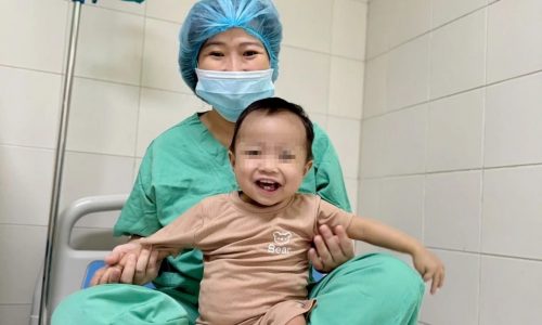 Từ 40 ca ghép tạng đến những hành trình hồi sinh